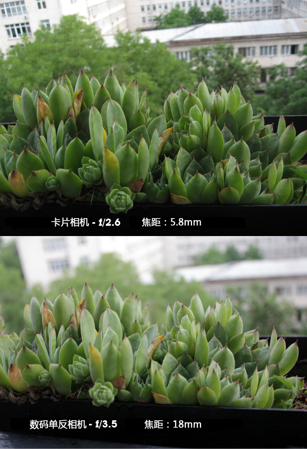 在360度全景攝影里，影響景深的因素