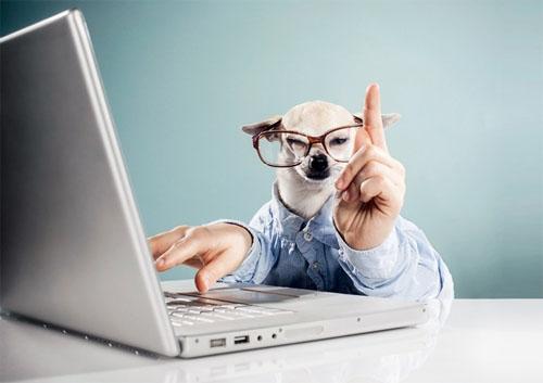 怎樣營(yíng)造良好的網(wǎng)站用戶體驗(yàn)