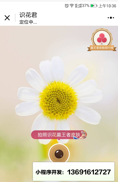 識花君小程序截圖