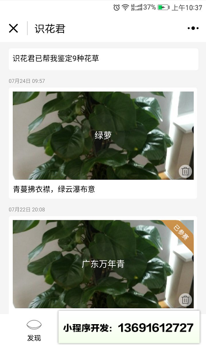 識花君小程序截圖